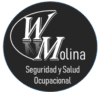wmolinasv.com